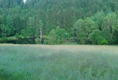 Ubytování v soukromí U Sýkorů