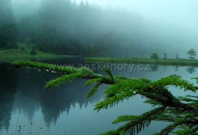 Ubytování v soukromí U Sýkorů