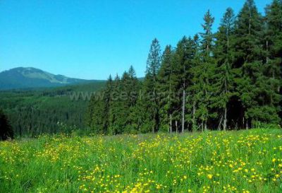 Ubytování v soukromí U Sýkorů