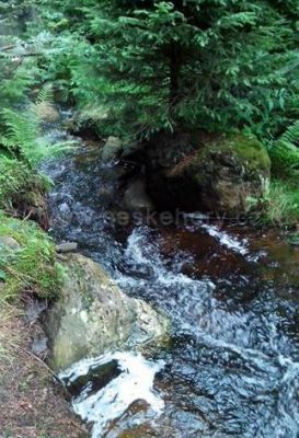 Ubytování v soukromí U Sýkorů