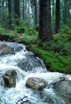 Ubytování v soukromí U Sýkorů