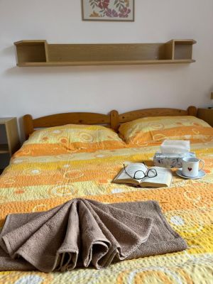 Pension Jana