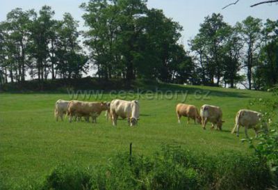 Kemp Javorová skála