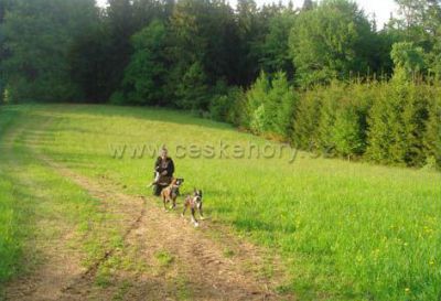 Kemp Javorová skála