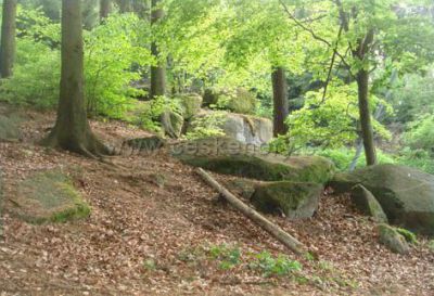 Kemp Javorová skála