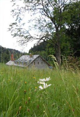 Chata Jelenka - Františkov