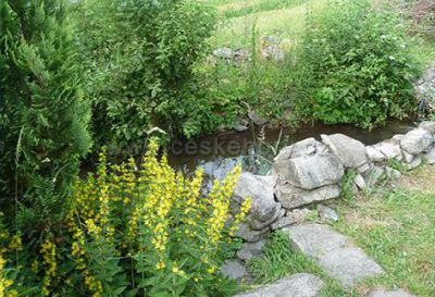 Chalupa Loučná a Nové Losiny