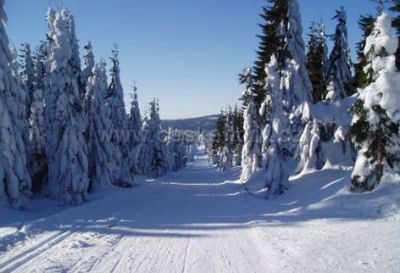 Penzion Jindřichovka