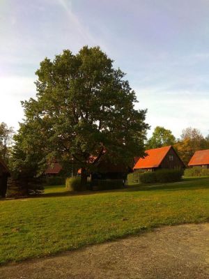 Rekreační zařízení Jizerky