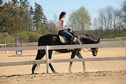 Pension Pegas Děpoltovice