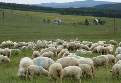 Apartmány Kantorstein