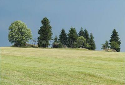 Apartmány Kantorstein