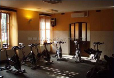 Restaurace-pension Černý orel