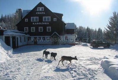 Chata Karolínka