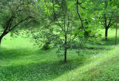 Ubytování Ludovit Karvai