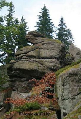 Ubytování pod Pivonickými skalami