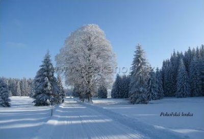 Ubytování pod Pivonickými skalami
