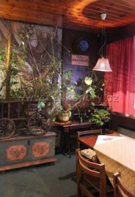 Kozlovna u Staročecha