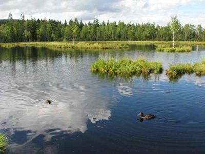 Ubytování u Krásů - privát