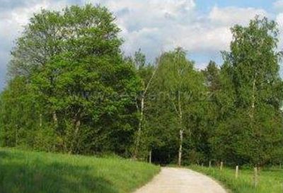 Ubytování u Krásů - privát