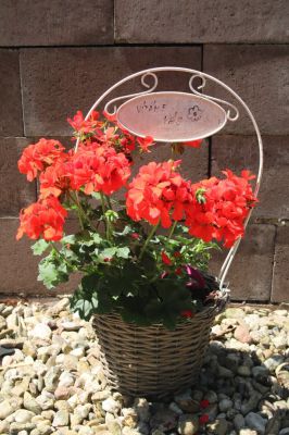 Apartmán  - Domeček