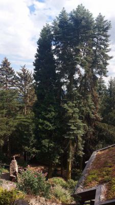 Hájenka u lanovky na Komáří Vížku