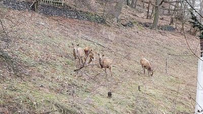 Hájenka u lanovky na Komáří Vížku