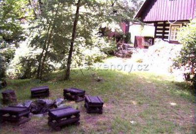 Chalupa ve Sněžném