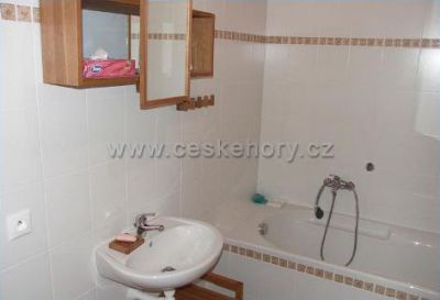 Apartmán Lipno - Šumava