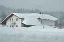Ferienhaus im Böhmerwald / Bayern