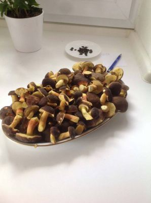 Rodinný penzion Marmar