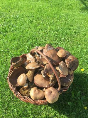 Rodinný penzion Marmar