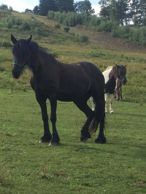 Rodinný penzion Marmar