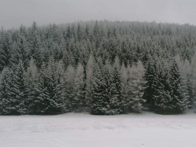 Horní Lipová Apartmán