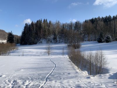 Horní Lipová Apartmán