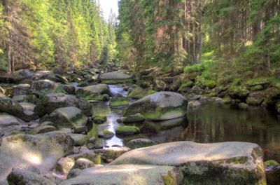 Dům Kilián, apartmán Boubín