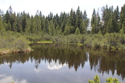 Dům Kilián, apartmán Boubín