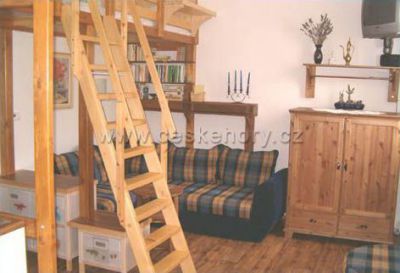 Apartmán Borová Lada