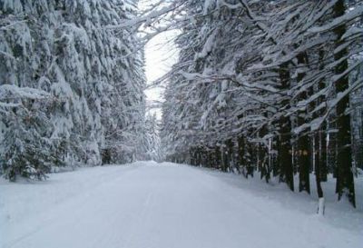 Apartmán Borová Lada