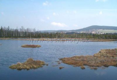 Apartmán Borová Lada