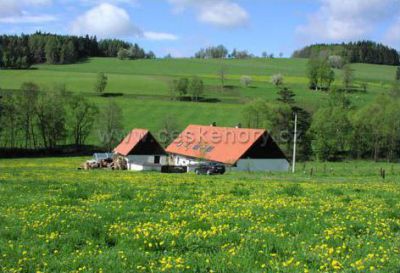 Chalupa U rybníka - Michálek
