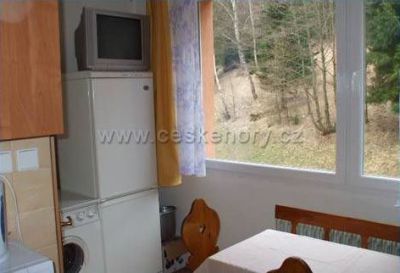 Apartmány pod Špičákem (garsonka)