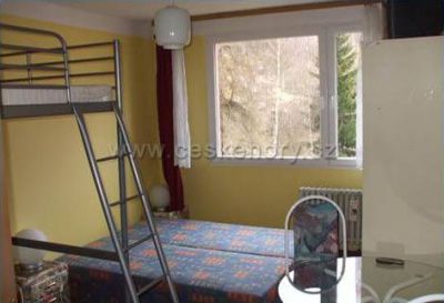 Apartmány pod Špičákem (garsonka)