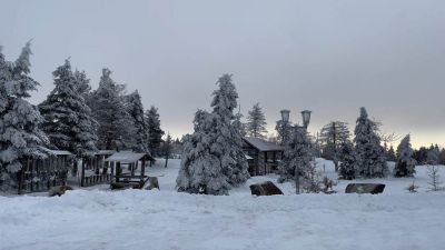 Horský hotel Lesná