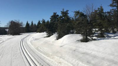 Horský hotel Lesná