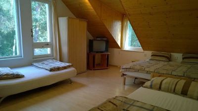 Lesní vila Landštejn