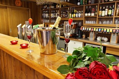 Hotel Lesní Chata ***