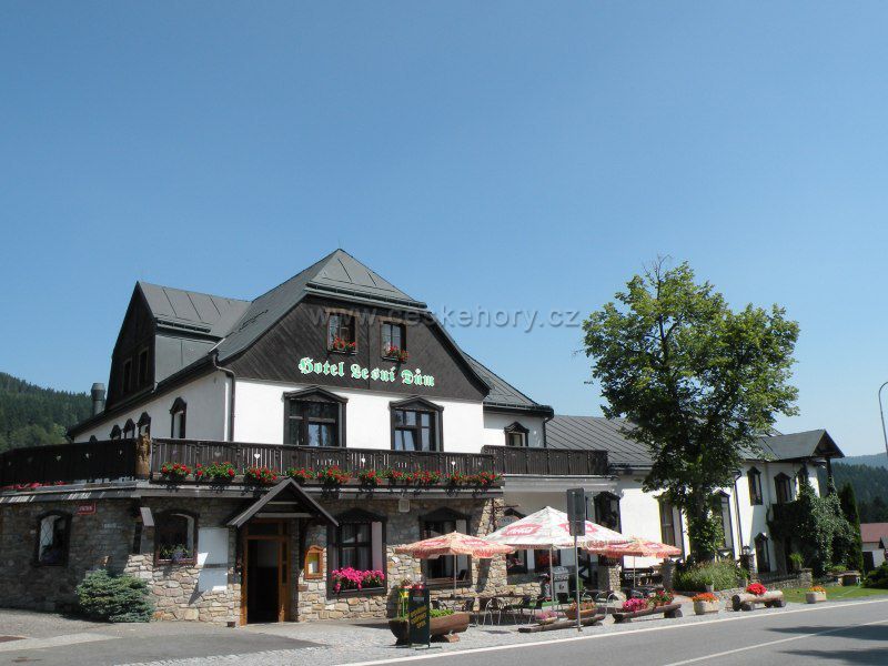 Hotel Lesní dům