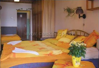 Lesní pension Kobylnice