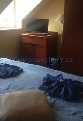 Penzion Lesní pramen